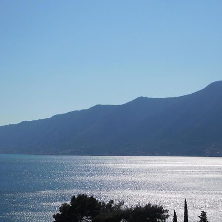 Villa Aronija Kotor Dış mekan fotoğraf