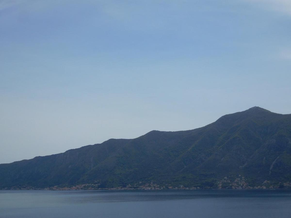 Villa Aronija Kotor Dış mekan fotoğraf