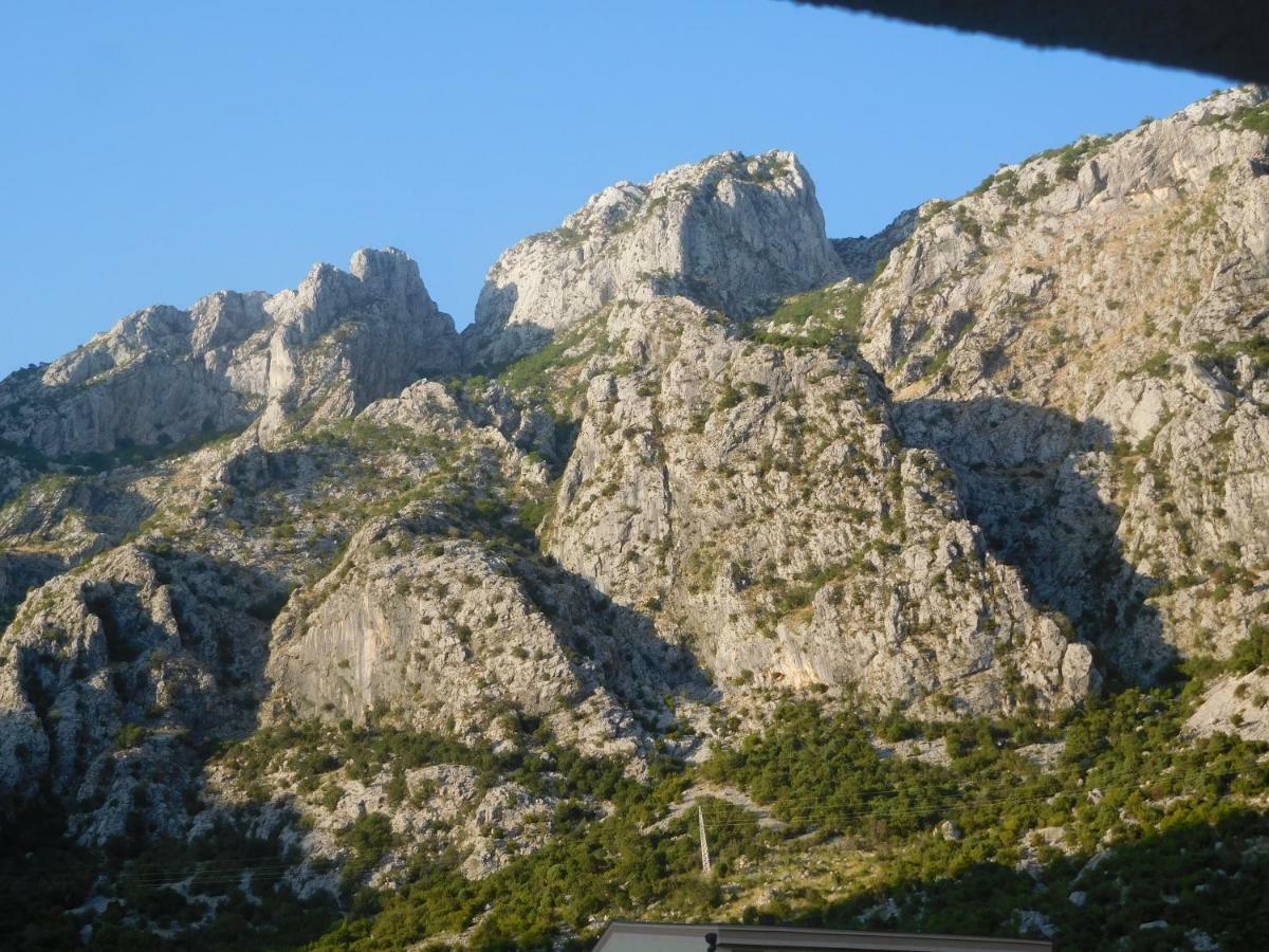 Villa Aronija Kotor Dış mekan fotoğraf